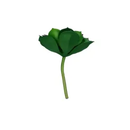 sztuczny-sukulent-zielony-eszeweria-kaktus-kwiat