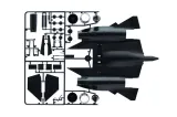 1-72-sr71-blackbird-with-drone-stan-nowy