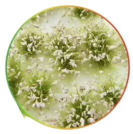 shrubs-tufts-6mm-self-adhesive-white-biale-kepki-roslin