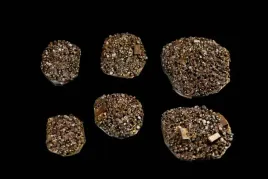 pile-of-coins-stosy-monet-6-szt