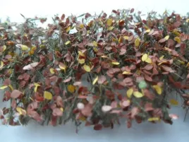 poznojesienne-liscie-i-galezie-buku-15x4-cm