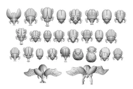 3d-printed-set-egyptian-scarabs-skarabeusze-27-szt