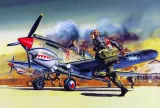 academy-12456-p-40b-1-72-model-ma-12456