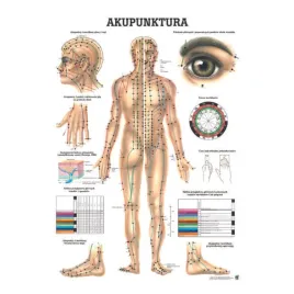 tablica-anatomiczna-plansza-medyczna-akupunktura