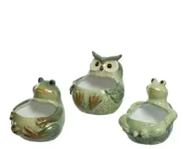 oslonka-na-doniczke-zaba-zielony-zolw-doniczka