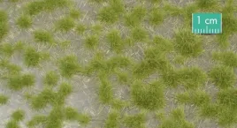 dwukolorowe-wiosenne-tufty-15x8-cm