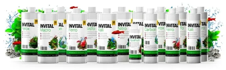 invital-carbon-500ml