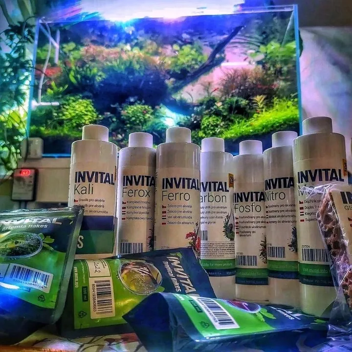 invital-carbon-500ml