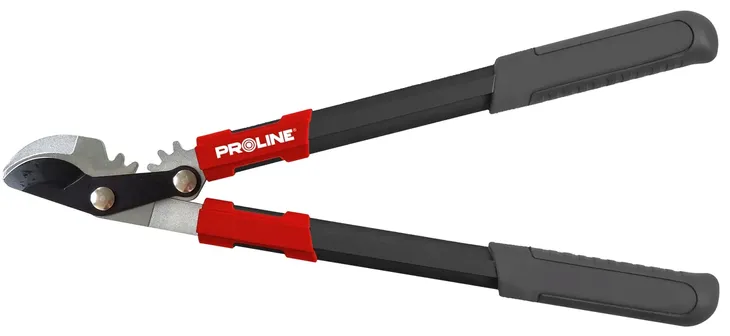 proline-sekator-nozyce-do-galezi-ogrodu