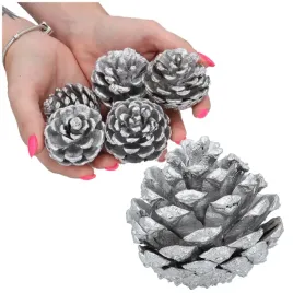 szyszki-srebrne-dekoracyjne-5szt-na-boze-narodzenie-do-stroikow-sosnowe