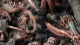 gamers-grass-grass-tufts-6-mm-alien-void-wild-stan-nowy