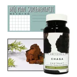 arcyziola-chaga-grzyb-chaga-melanina-watroba-oczyszczanie-witalnosc-50-g