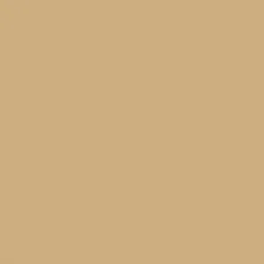 vallejo-70976-model-color-18ml-buff