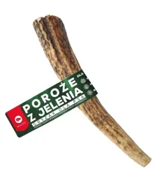 poroze-jelenia-roz-l-1-szt