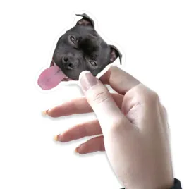 naklejki-wlepy-etykiety-zdjecie-psa-kota-kreator-smieszne-prezent