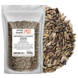 ostropest-plamisty-ziarno-1kg-naturalny-suplement-diety-jakosc-kol-pol