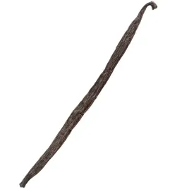 laska-wanilii-13-16-cm-wanilia-laski-madagaskar-jakosc-1-kol-pol-1-sztuka