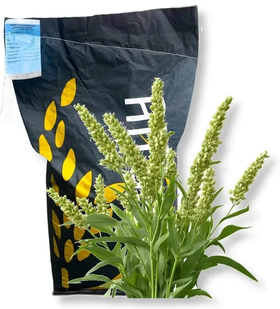Mieszaniec sorgo z trawą sudańską nasiona 25kg NUTRI HONEY