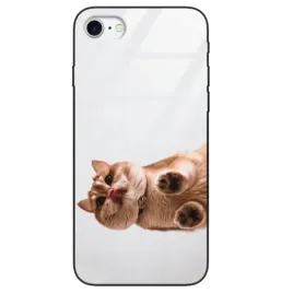 etui-szklane-do-iphone-7-8-smieszne-koty-zabawne-kotki-funny-cats-wzory