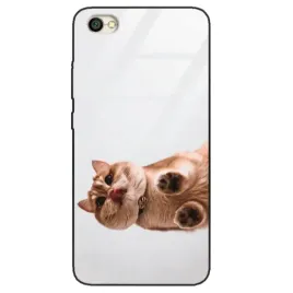 etui-szklane-do-xiaomi-redmi-note-5a-smieszne-zabawne-kotki-funny-cats-wz