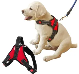 mocne-szelki-dla-psa-bezuciskowe-regulowane-r-m-regulacja-obwodu-50-64-cm