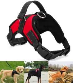 mocne-szelki-dla-psa-bezuciskowe-regulowane-r-s-regulacja-obwodu-48-62-cm