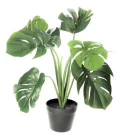 monstera-w-doniczce-sztuczne-kwiaty-jak-zywa