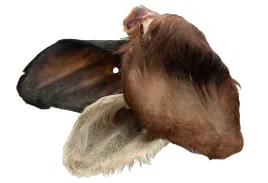 ucho-wolowe-z-futrem-xl-naturalny-gryzak-dla-psa-20szt