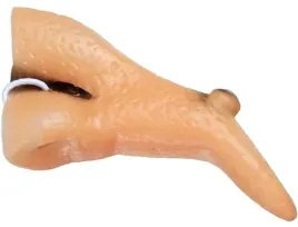 nos-wiedzmy-czarownicy-nochal-andrzejki-przebrania-akcesoria-wiedzmy-stroj