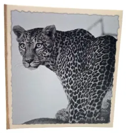 album-na-200-zdjec-10x15-wild-life-gepard