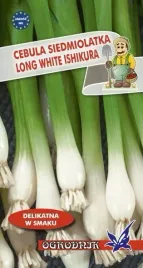 cebula-siedmiolatka-long-white-ishikura-2g-o
