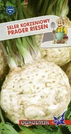 seler-korzeniowy-prager-riesen-1g-o