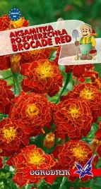 aksamitka-rozpierzchla-brocade-red-1g-o