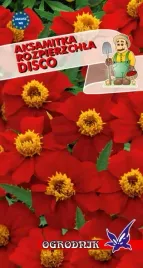 aksamitka-rozpierzchla-disco-05g-o