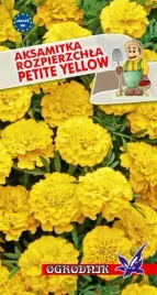 aksamitka-rozpierzchla-petite-yellow-1g-o