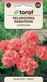 pelargonia-rabatowa-lososiowa-005g-t