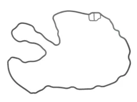 uszczelka-pokrywy-zaworow-vo-rvi-dxi