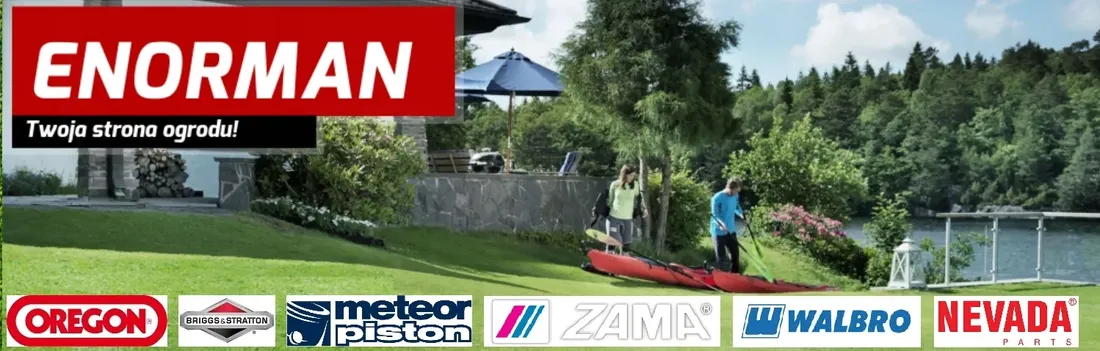 cewka-zaplonowa-modul-briggs-stratton-quantum