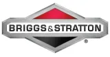 gaznik-briggs-stratton-quantum-50-55-60km-ory-waga-z-opakowaniem-0-5-kg