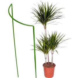 podpora-metalowa-do-kwiatow-roslin-ogrodowych-45cm-produkt-polski-zielona