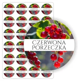 arkusz-naklejek-czerwona-porzeczka-naklejka-zestaw-dzem-kompot-z-porzeczki