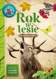 mlody-obserwator-przyrody-rok-w-lesie