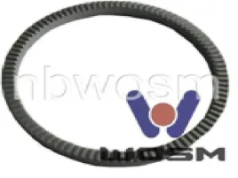 pierscien-abs-bpwmega-100z-zeliwny