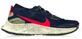 buty-nike-pegasus-trail-3-gtx-dc8793-401-r-44
