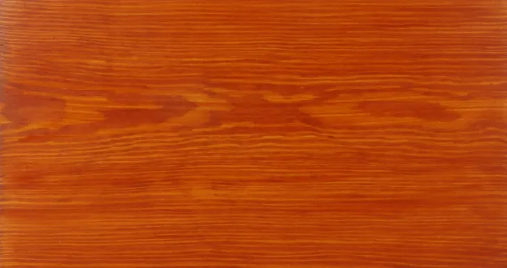 luxdecor-lakierobejca-22l-cedr-marka-luxdecor