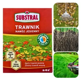 substral-jesienny-nawoz-do-trawnika-trawy-1kg-na-40m2-chroni-przed-zima-npk