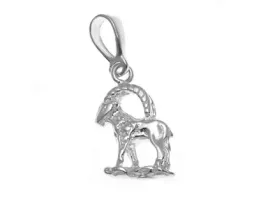 srebrny-znak-zodiaku-koziorozec