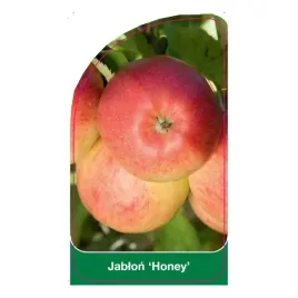 etykiety-szkolkarskie-z-gumka-do-roslin-jablon-honey