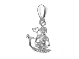 srebrny-znak-zodiaku-wodnik-925