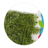 tasma-dekoracyjna-listki-35cm-2m-kolor-odcienie-zieleni